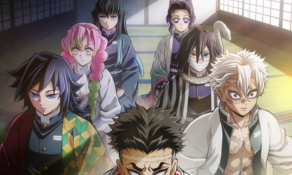 Introduction to the Hashira Training Arc