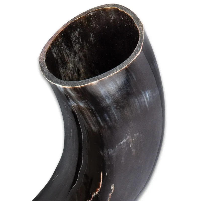 Viking Buffalo Drinking Horn Medieval Fantasy Display Cup